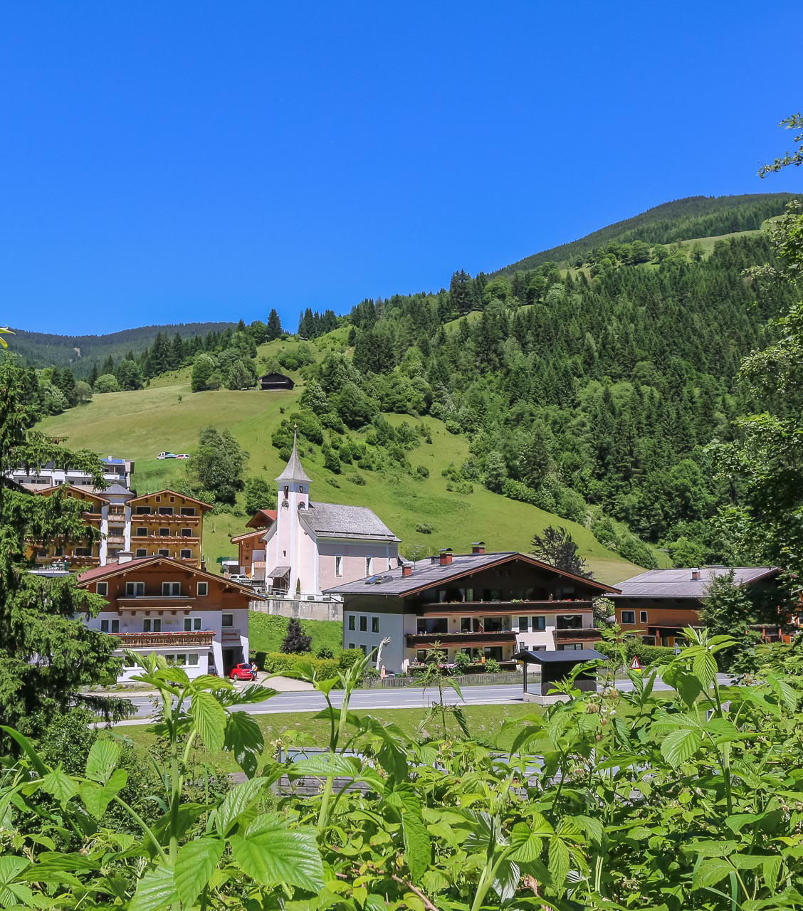 Panoramablick auf Viehhofen im Glemmtal