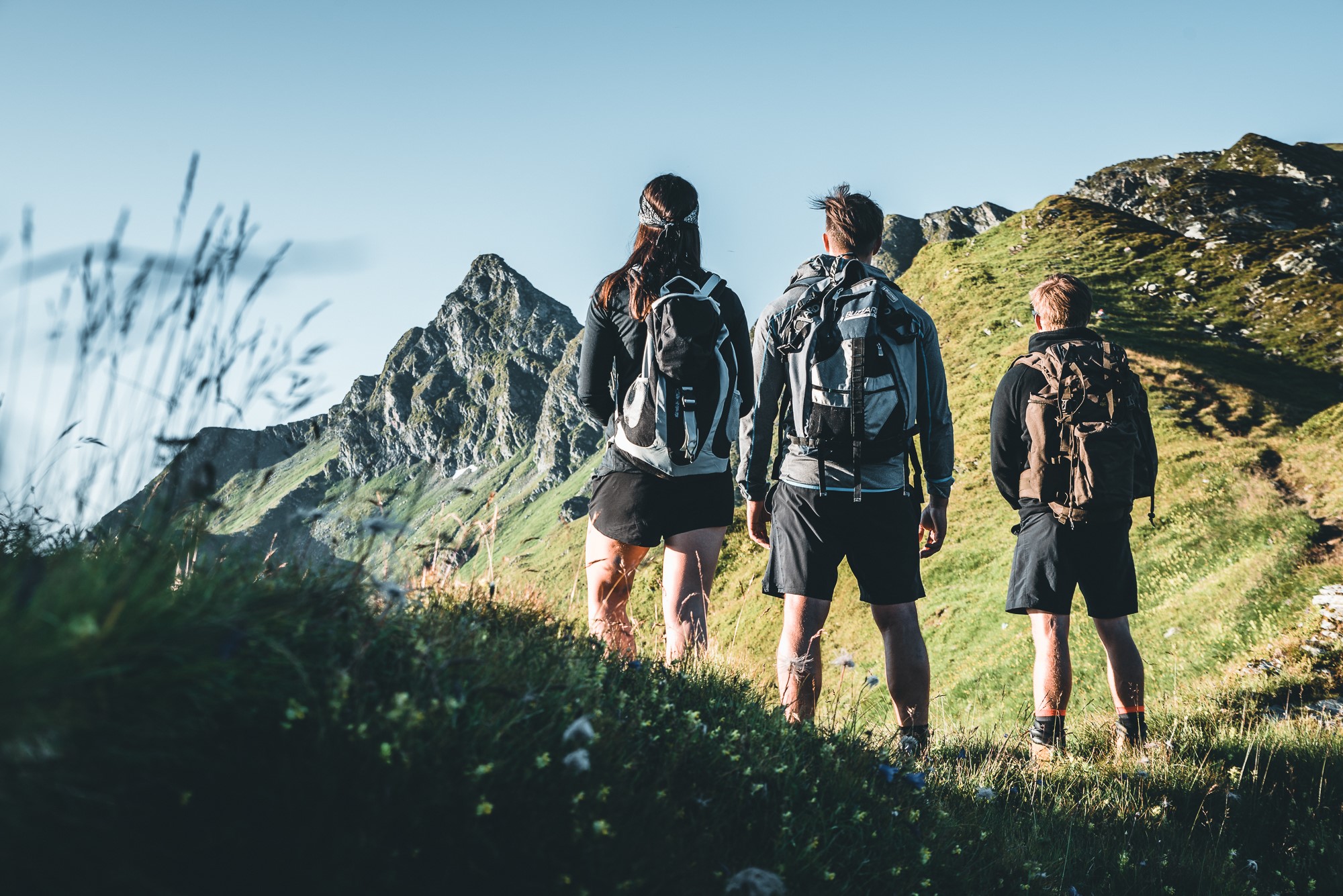 nationalpark-hohe-tauern.jpg