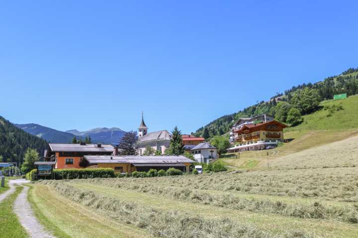 Familienurlaub und Bauernhofurlaub in Viehhofen
