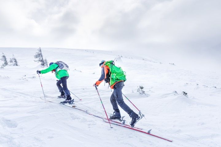 skitouren-schneehang.jpeg